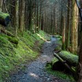 Exploring the A.T. Conservancy Maps of the Appalachian Trail