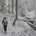 Hypothermia Safety on the Appalachian Trail