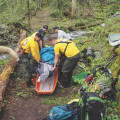 Search and Rescue Procedures on the Appalachian Trail