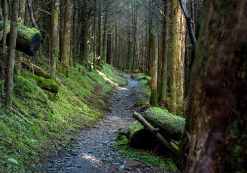 Exploring the A.T. Conservancy Maps of the Appalachian Trail