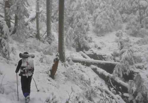 Hypothermia Safety on the Appalachian Trail