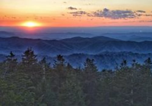 Exploring Great Smoky Mountains National Park Firewood Collection Permits