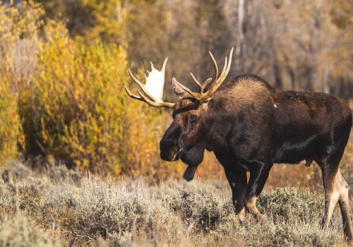 Everything You Need to Know About Maine Wilderness Area Access Permits