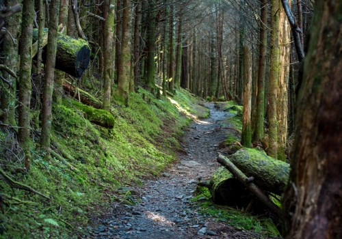 Retail Map Printing Services for the Appalachian Trail